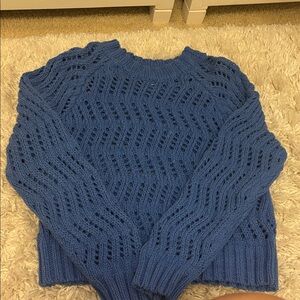 Blue Women's Sweater american eagle